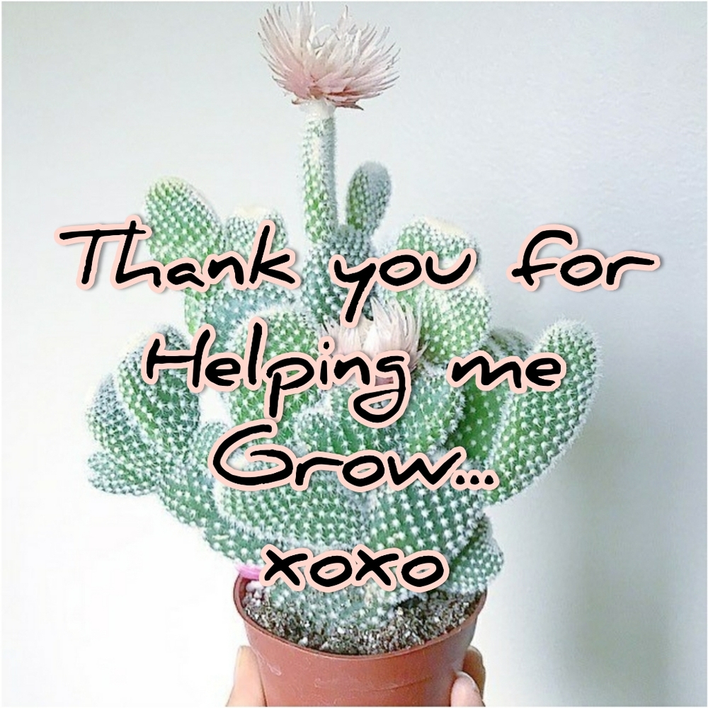 Thank you Poshers!!❤❤